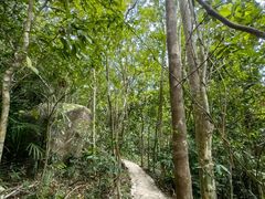 -海南热带雨林国家公园吊罗山景区