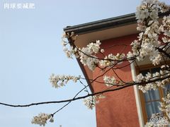 -浙江省杭州高级中学(贡院校区)