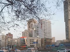 -柴窝堡辣子鸡(贵州路店)