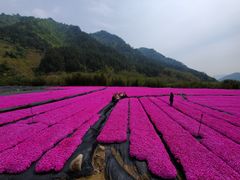 -浙西大峡谷