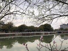 -八大山人梅湖景区