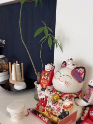 -JNK皮肤管理中心