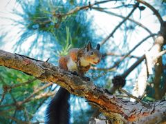 -国家植物园南园