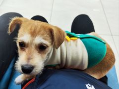 -美联众合动物医院·24h京西诊疗中心