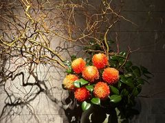 -炳胜私厨(中达旗舰店)