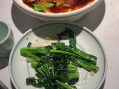-大榕树下顺德菜(融创茂店)