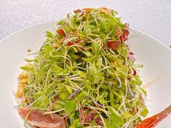 -三利音·浦之舟(滨江大道店)