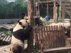 -南昌动物园