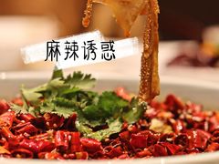 -真爱中国餐馆·年华店(朱雀大街店)