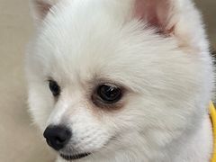 -怪兽屋·羊驼·猫咖·狗咖(俊华广场店)