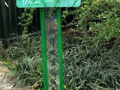 -西湖风景区-江洋畈生态公园