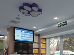 -天使宠物医院·犬猫分诊(彩虹店)