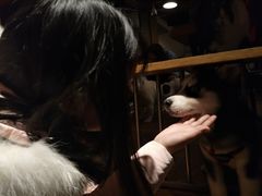 -萌喵咖啡屋(人民东路4号口M16商铺店)