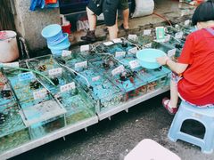 -清平路水族市场