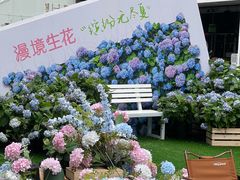 -HALO广场(梨园路店)