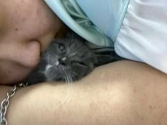 -喵汪萌宠屋旗舰店.洗澡美容.猫狗基地