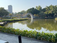-金砂公园