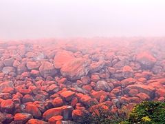 -燕子沟风景区
