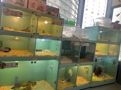 -FAIRYLAND龙族星球主题餐厅(凯丹广场店)
