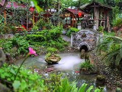 -青城甲(青城山店)