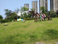 -重庆国际马戏城