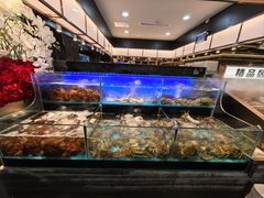 -苏格里岛自助烤肉海鲜火锅(成都金牛万达店)