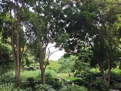 -成都市活水公园