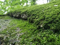 -本溪老边沟风景区