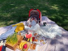 -天津武清北运河郊野公园房车露营地