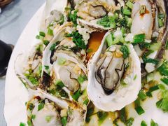 -金海湾海鲜排档(朱家尖店)