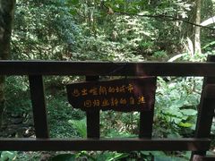 -七仙岭温泉国家森林公园