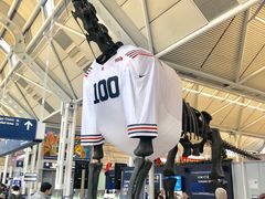 -奥黑尔国际机场