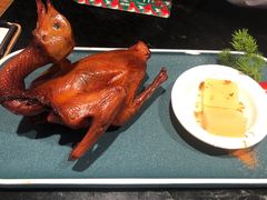 红烧乳鸽-大鸽饭(北京路店)