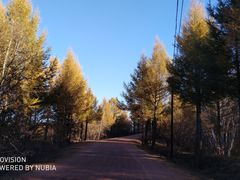 -塞罕坝国家级自然保护区