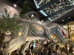 -湖南省地质博物馆