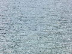 -海南热带雨林国家公园吊罗山景区