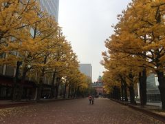 -北海道厅旧本厅舍(旧本庁舎)