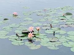 -良渚古城遗址公园