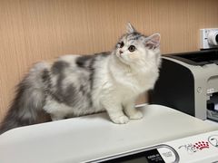 -谐和益家动物医院·免疫绝育·血液透析·宠保定点医院(高新伊藤分院)