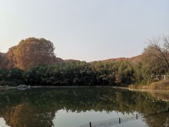 -河南省黄河迎宾馆