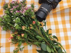 -白鹭湾湿地公园