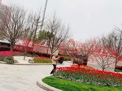 -上海体育馆(地铁站)