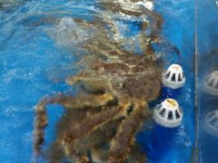 -清水湾3号(东方小周海鲜店)