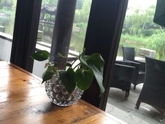 靠窗位-日出青木·杭帮菜名店