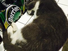 -MIKAKU(万达广场上海宝山店)