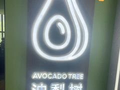 -油梨树AVOCADO TREE(望京店)