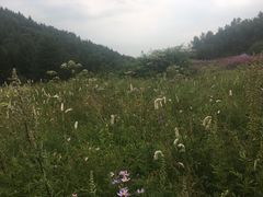 -驼梁风景区
