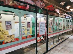 -猫咪博物馆(顶澳仔猫街店)