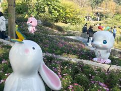 -云溪植物园