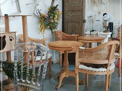 大堂-共舞时光猫咖·狗咖(新街口店)